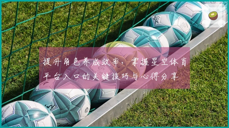 提升角色养成效率,掌握星空体育平台入口的关键技巧与心得分享