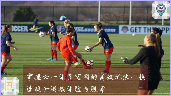 掌握必一体育官网的高效玩法，快速提升游戏体验与胜率