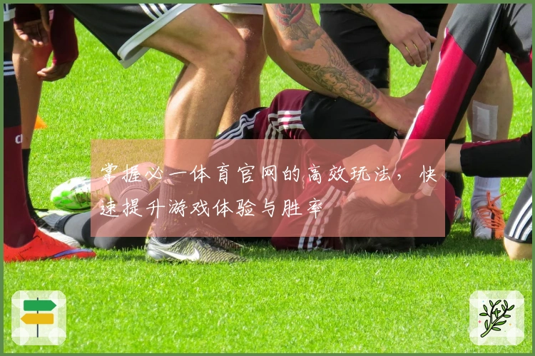 掌握必一体育官网的高效玩法，快速提升游戏体验与胜率