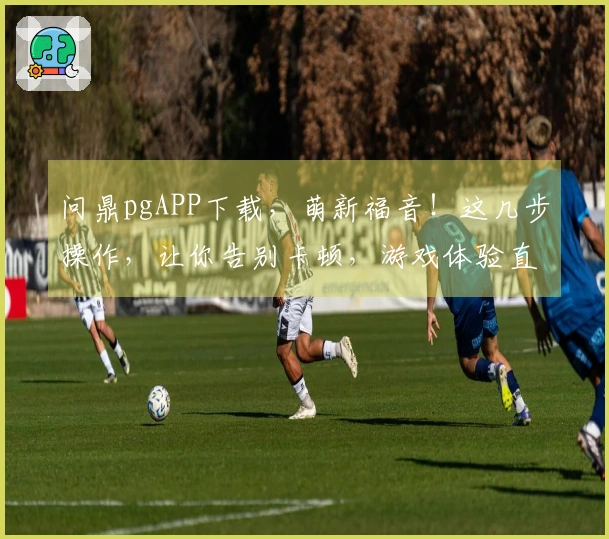 问鼎pgAPP下载，萌新福音！这几步操作，让你告别卡顿，游戏体验直飞！
